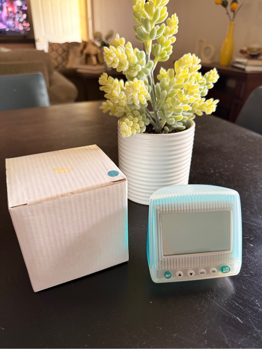 Light Blue Digital Timer - Home Accents Decor